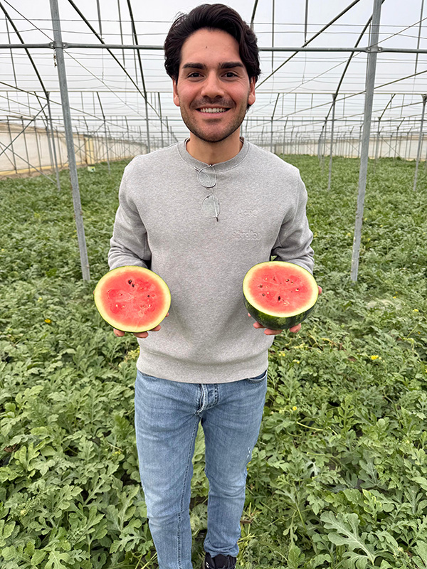Andrea Di Pierro, agronomo e responsabile acquisti e qualità di Frudis